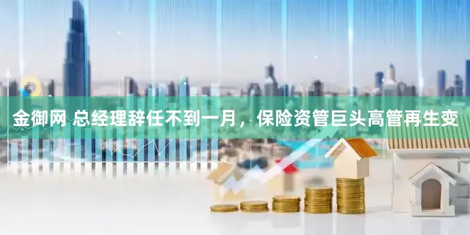 金御网 总经理辞任不到一月，保险资管巨头高管再生变