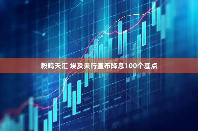 毅鸣天汇 埃及央行宣布降息100个基点