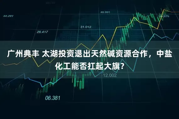 广州典丰 太湖投资退出天然碱资源合作，中盐化工能否扛起大旗？