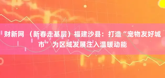 财新网 （新春走基层）福建沙县：打造“宠物友好城市” 为区域发展注入温暖动能