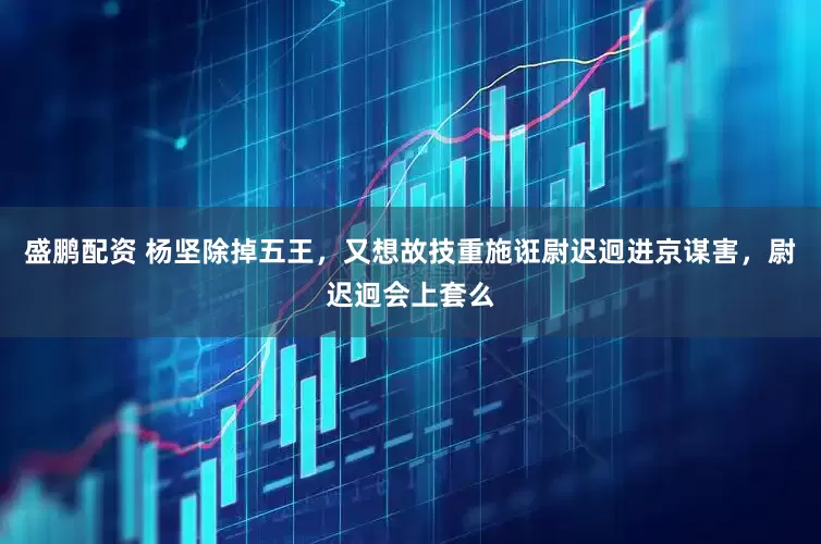 盛鹏配资 杨坚除掉五王，又想故技重施诳尉迟迥进京谋害，尉迟迥会上套么